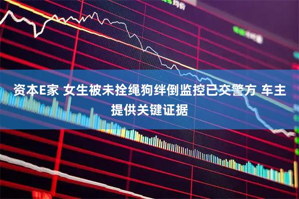 资本E家 女生被未拴绳狗绊倒监控已交警方 车主提供关键证据