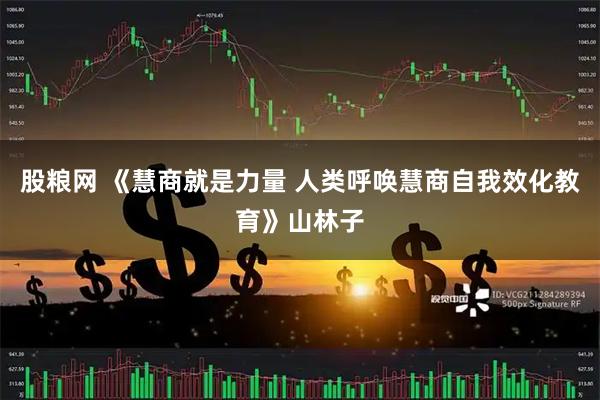 股粮网 《慧商就是力量 人类呼唤慧商自我效化教育》山林子